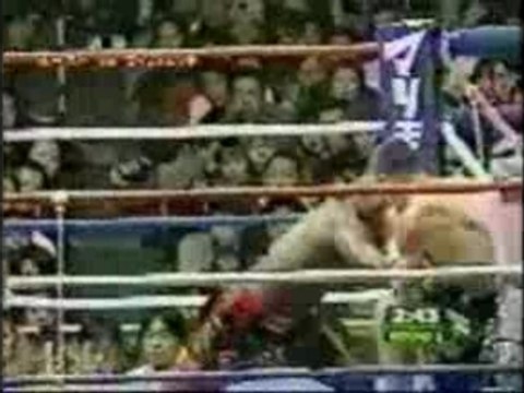 Ufc - Ernesto Hoost Vs Mirko Crocop