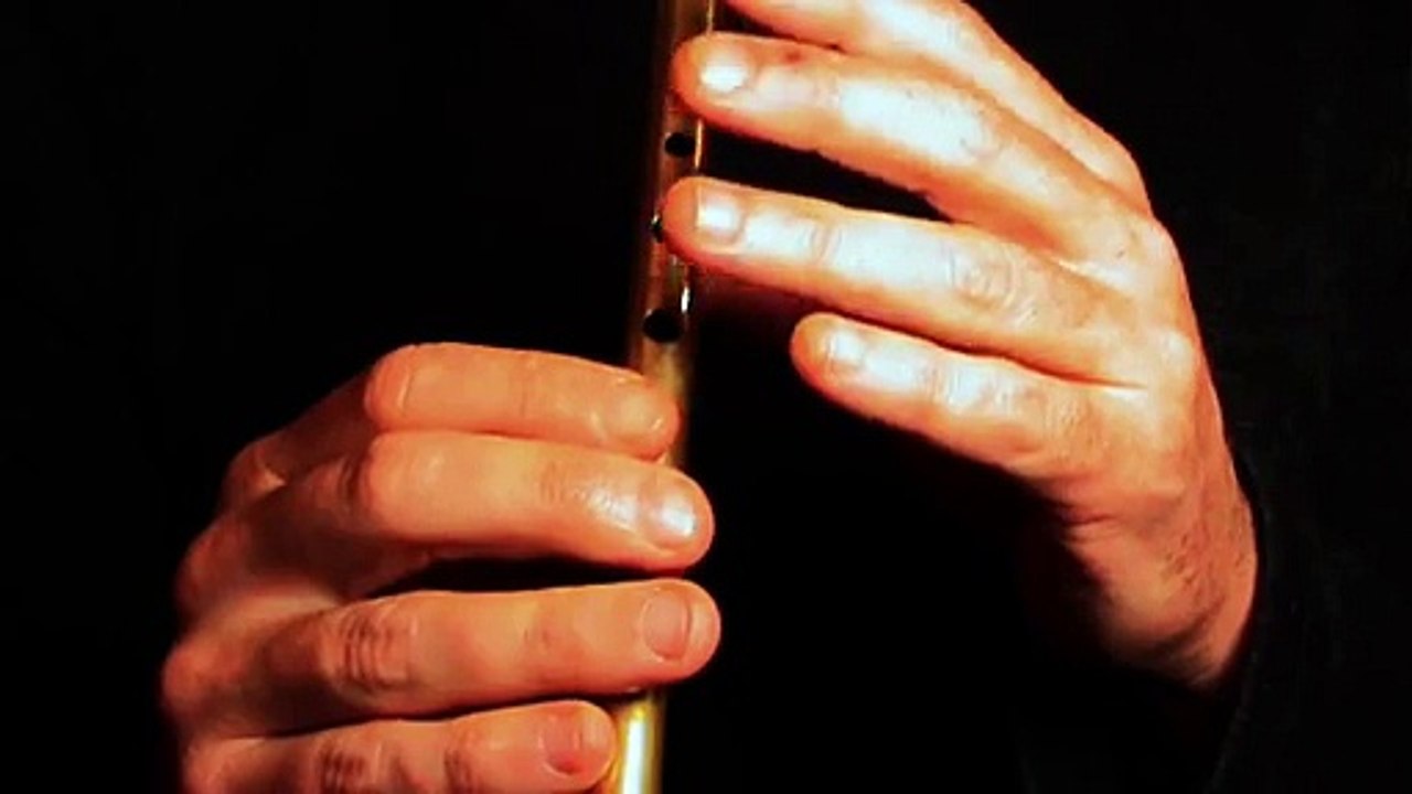 Bill Sullivan's Polka - flûte irlandaise - Tradschool