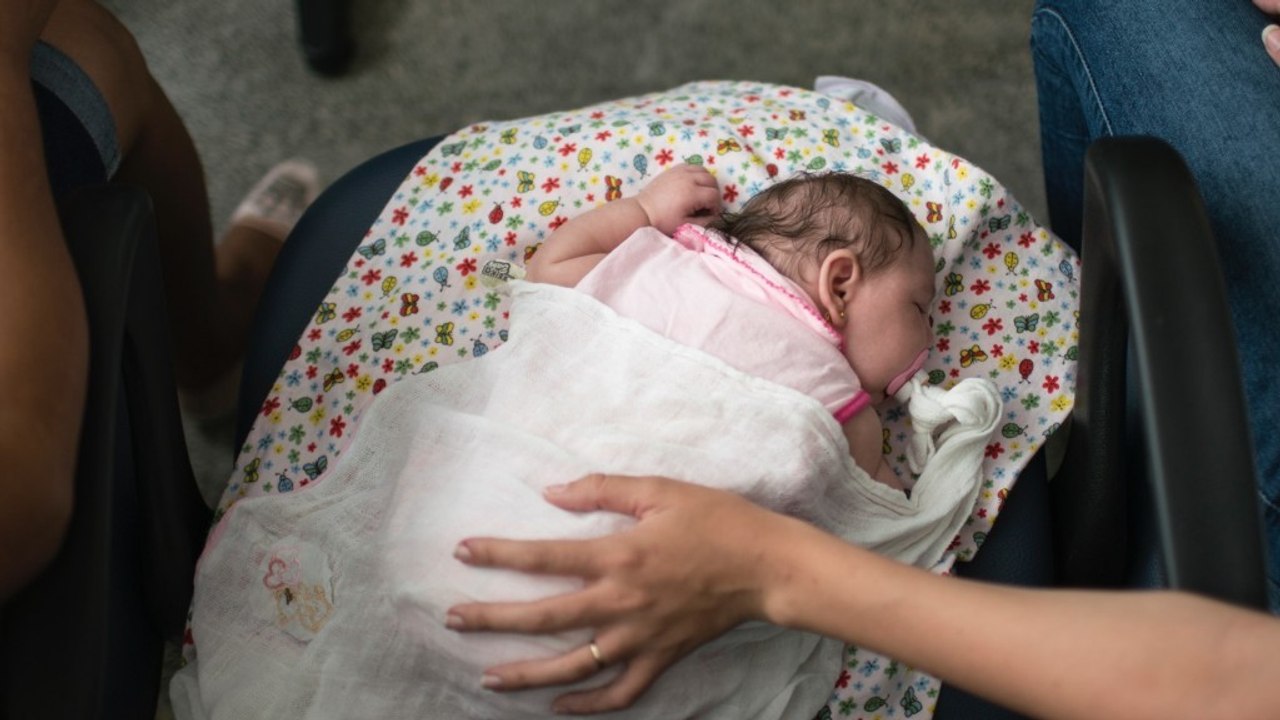 What you need to know about the Zika virus
