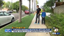 Coronado residents frustrated with dog poop