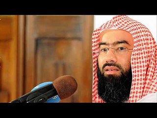 قصص الأنبياء 9: قصة داود وسليمان (ع) بصوت نبيل العوضي