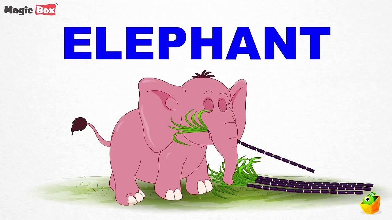Animal Alphabet Pre School Learn English Words (Spelling) Video For Kids and Toddlers