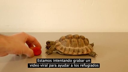 Conoce el último trabajo que tuvo el actor que interpretó a Snape en Harry Potter