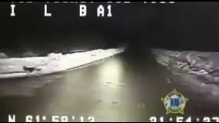 La police poursuit ce chien errant, il les emmène et sauve des vies..