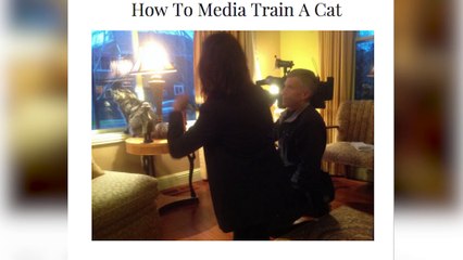 GIANT House Cat Scares Neighbors