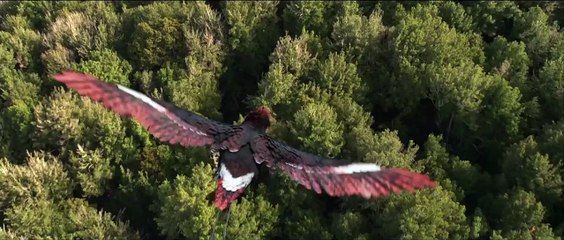 「ウォーキング with ダイナソー」特別映像
