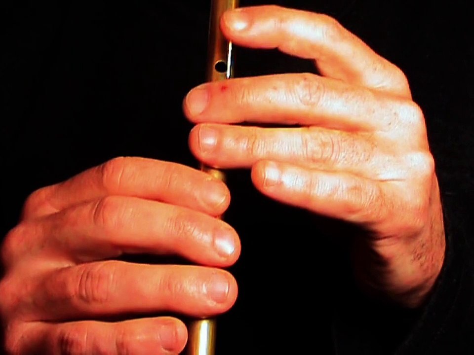 The Boys on the Town - musique irlandaise - Tradschool