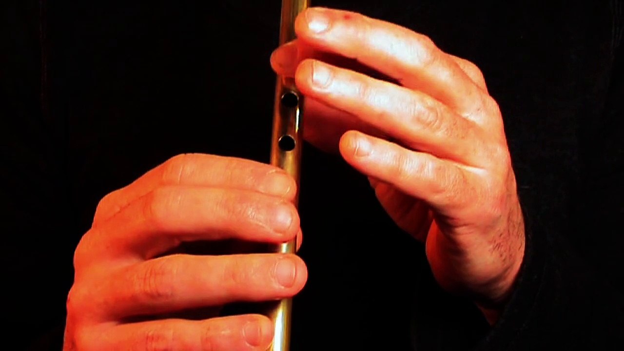 The Britches full of Stitches - flûte irlandaise facile