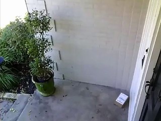 LiveLeak - Dallas Porch Pirate Leaves 'Merry Christmas' Note
