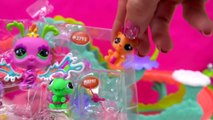 LPS Fairy Fun ROLLERCOSTER Littlest Pet Shop Playset with Sliding roller coster fun Cookie