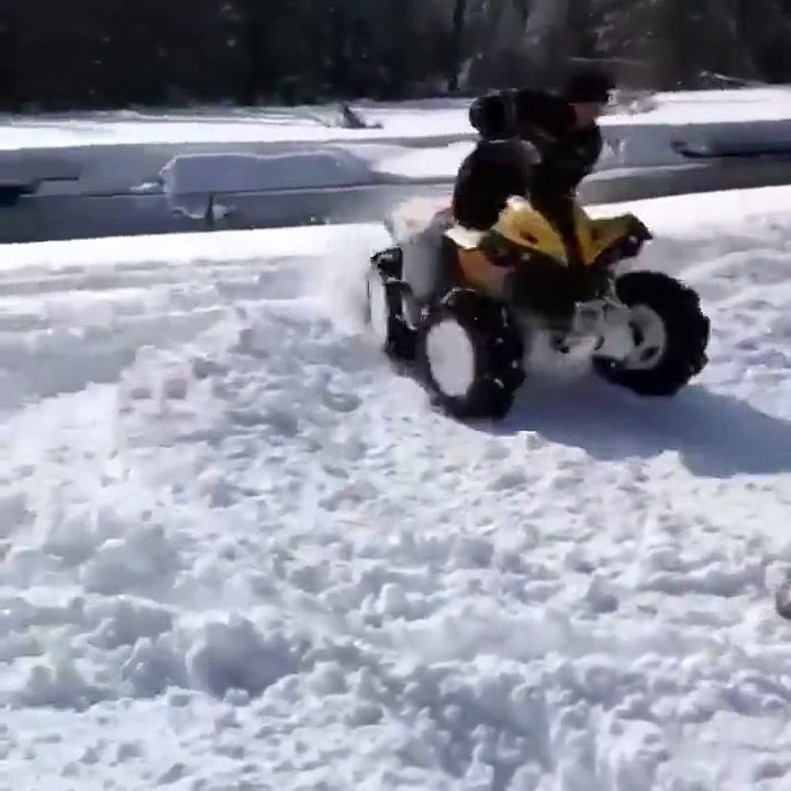 Los quats y la nieve no son una buena combinación.
