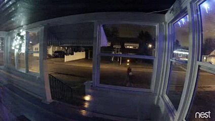 LiveLeak - Pint Size Porch Pirate