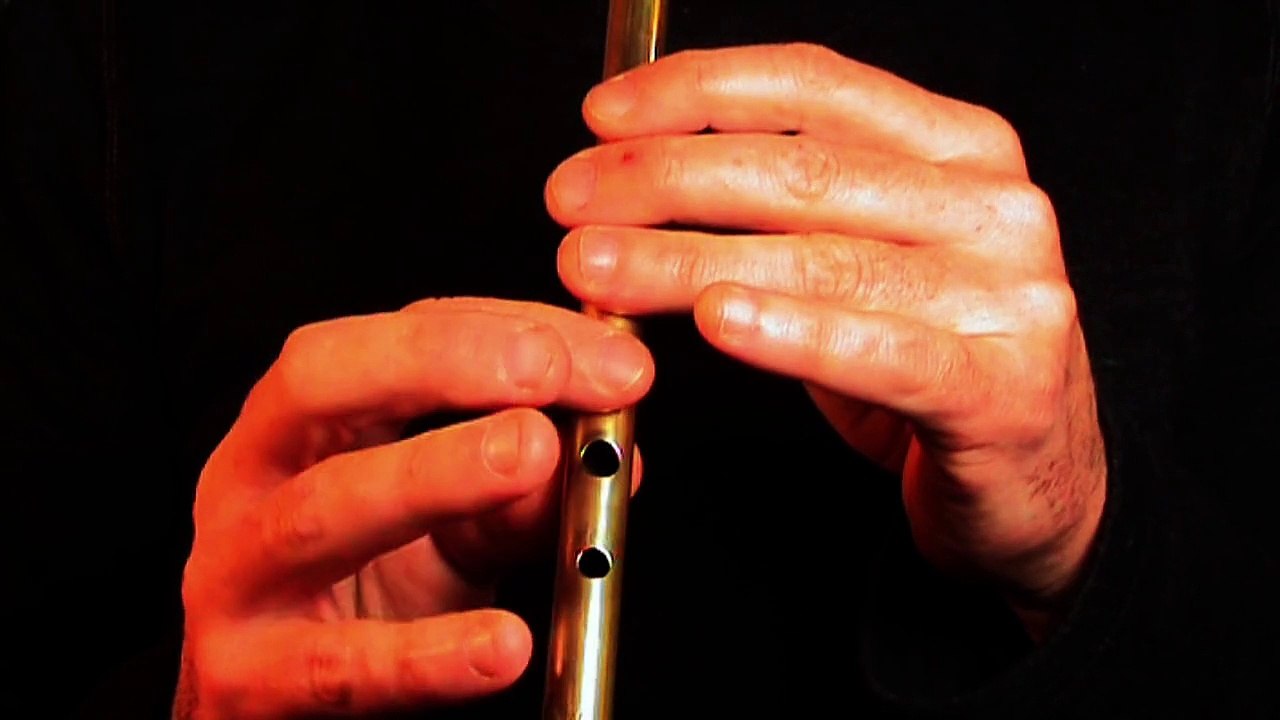 Musique de flûte irlandaise - the Butterfly