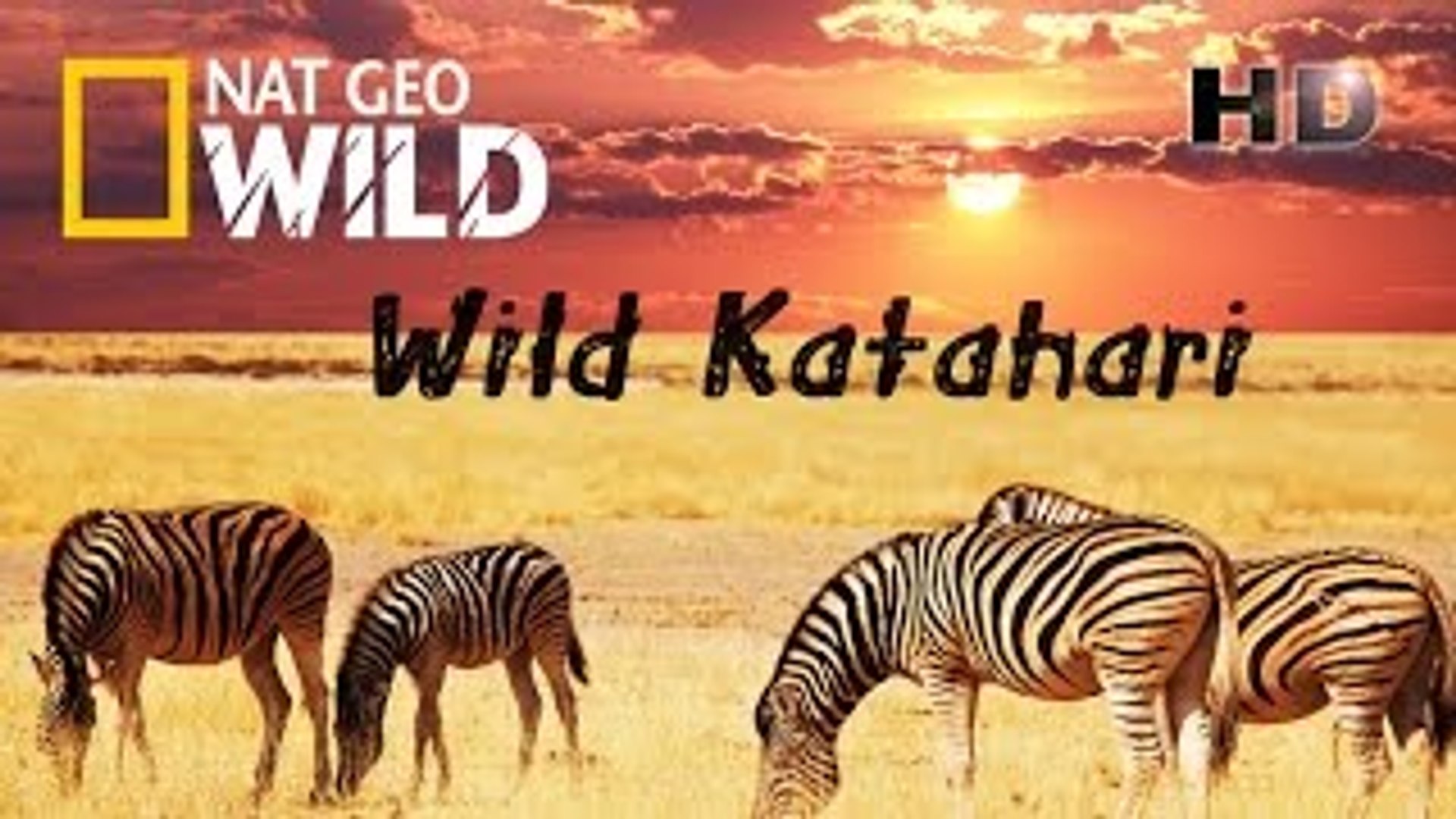 Wild Kalahari ( Nat Geo WILD )(1) - video Dailymotion