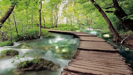 A long Way Animated Wallpaper