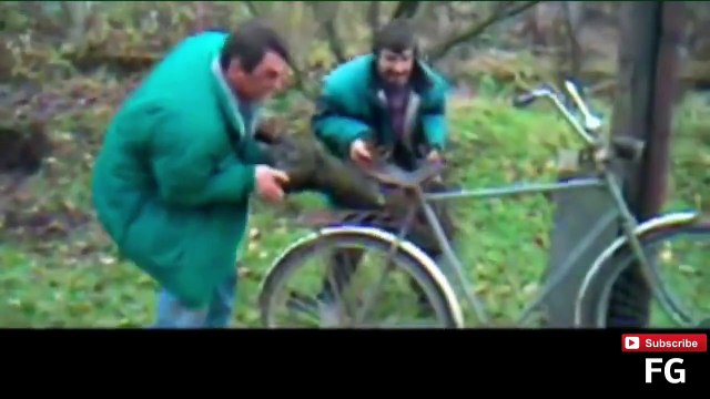 Funny videos - funny cat videos,funny video fails,funny animals clips