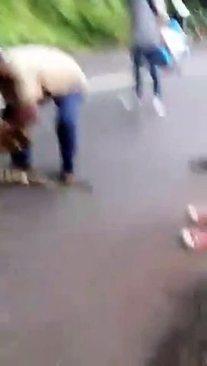 anaconda swallows goat infants.mp4