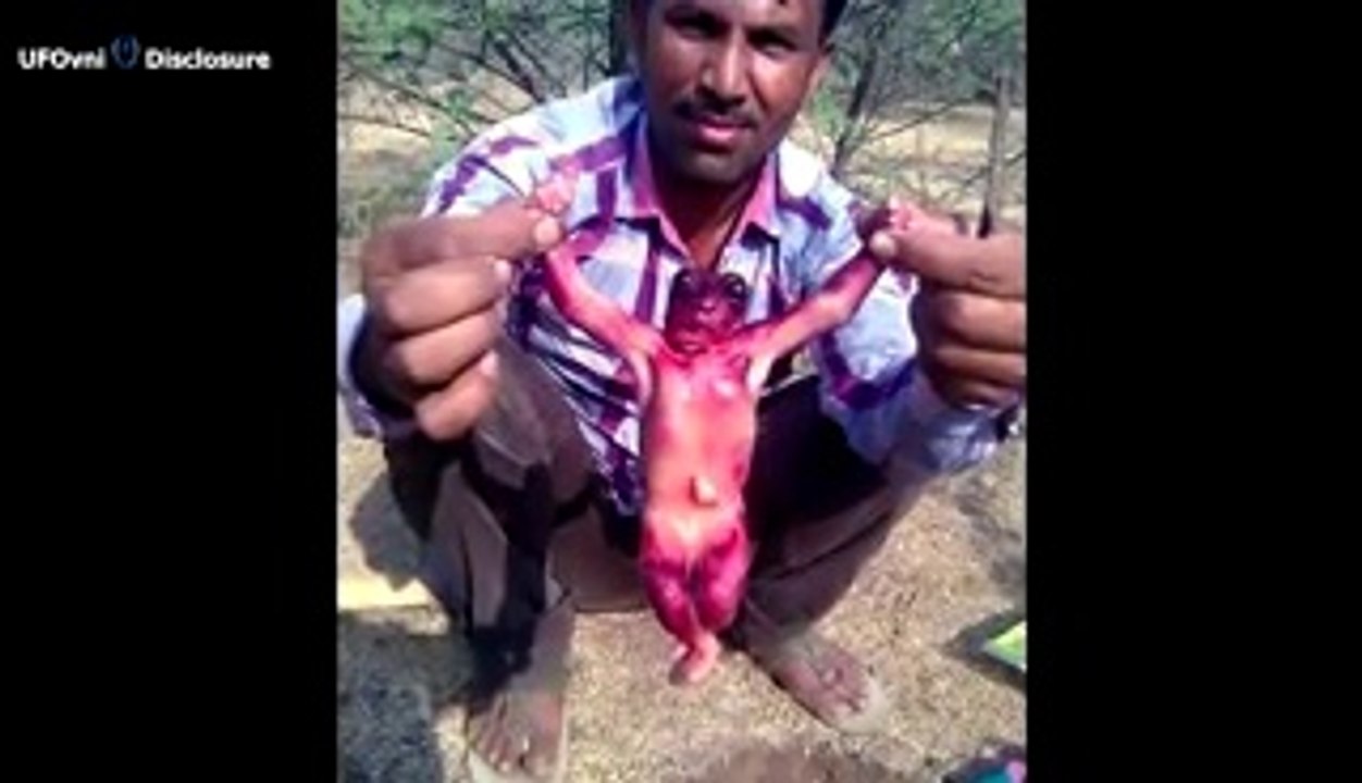 Strange Creature Caught on Camera in Jodhpur, India Real Hybrid Alien or Goblin – apni pakistani services portal