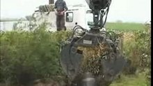 Aménagement d'un jardin avec le Grapner