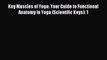 Key Muscles of Yoga: Your Guide to Functional Anatomy in Yoga (Scientific Keys): 1 [PDF Download]