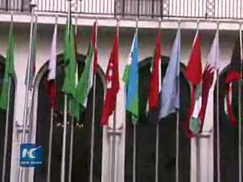 Arab league chief on Xis middle east tour China always supports Arab rights 2016