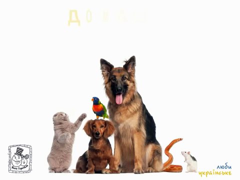 Домашні та свійські тварини. Розвиваючий мульт для малят на українській