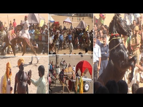 Rajsthani Festival 2015 Grand Openning | EXCLUSIVE