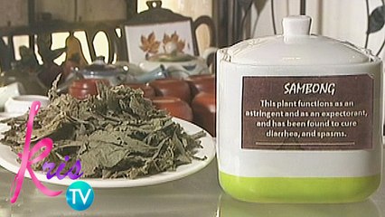 Kris TV: Different kinds of tea