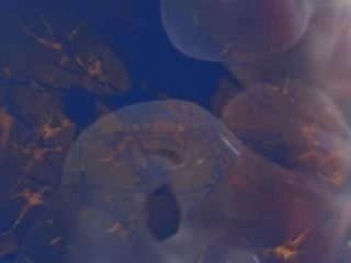 Vjing Pour "Mir" de Murcof