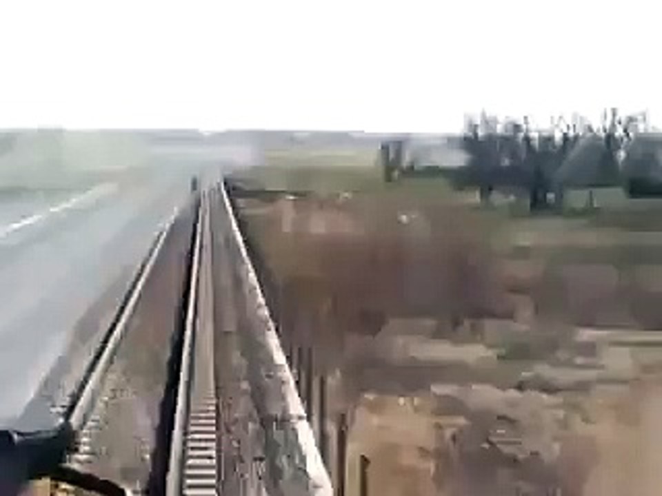 Train vs Vache