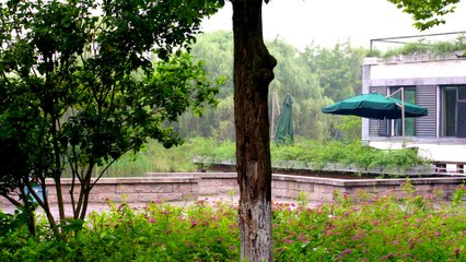 【妻子的谎言】The Wife's Lies [Eng-subbed] 第52集 賈青、張曉龍、邱勝翊