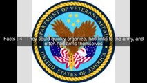 Veterans' benefits in the United States of Veteran Top 8 Facts