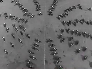 Rome: Police Hold Anniversary. Great and Best Motorbike Maneuvers