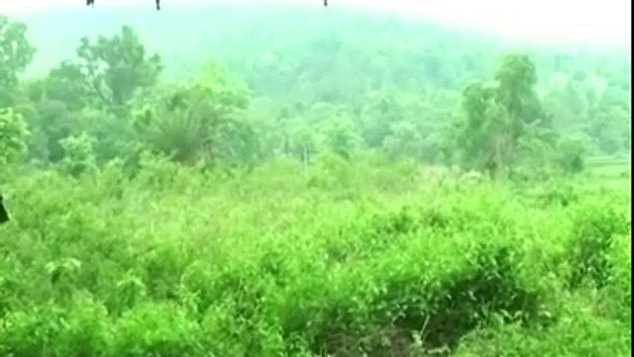 Tiger Attack On Man