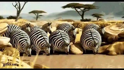 Crazy and Funny Animals Compilation | Just for laughs videos 2016 | funny cats try not to