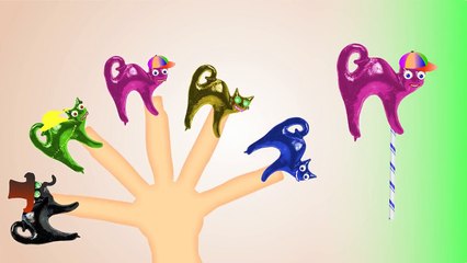 Cat Finger Family ♥ Candy Lollipops Daddy Finger Song