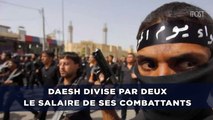 Daesh divise par deux le salaire de ses combattants