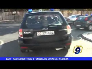 Bari |  Nas sequestrano più di tre tonnellate di cagliata estera