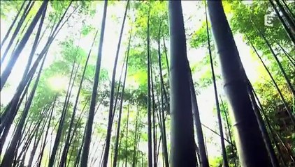 Chine secrète - Les richesses du passé