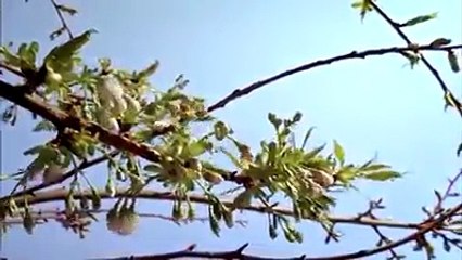 Most Beautiful Places on Earth.......A worth watch video