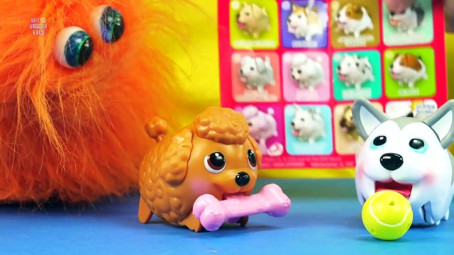 Chubby Puppies Hop & Waddle Cute Toy Doggies meet Chase from the Paw patrol