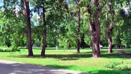 Красивая музыка - Для друзей