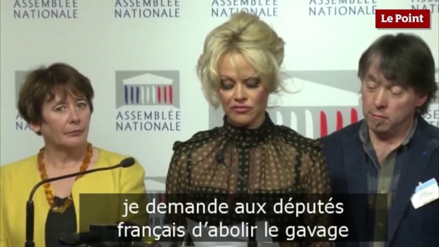 Pamela Anderson déclenche une émeute à l'Assemblée nationale