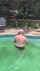 Tourist Pets Cheetah as It Takes a Sip From the Pool