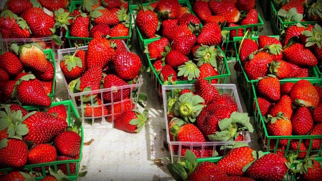 Supply and Demand Crash Course Economics #4