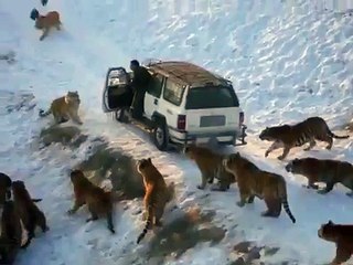 هذا الفيديو ممنوع للي أقل من 18 سنة