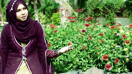 Muhammad Mustafa Aaye Aqsa Abdul Haq New Naat 2016