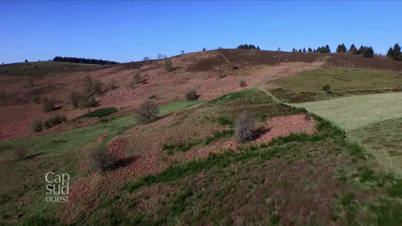 Cap Sud Ouest Pays de Tulle/Monédières -Coeur de Corrèze