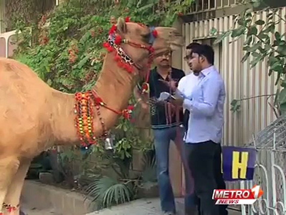 Zara Hut Kay Very Funny Video new
