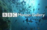 belgesel - BBC - İZ SÜRÜCÜLER
